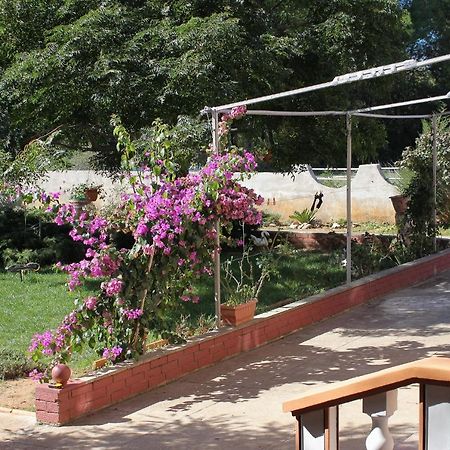 Apartments For Families With Children Privlaka, Zadar - 5747 Exterior foto